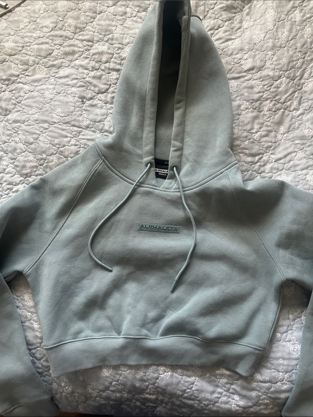 Alphalete Mint Green Hooded Cropped Sweatshirt